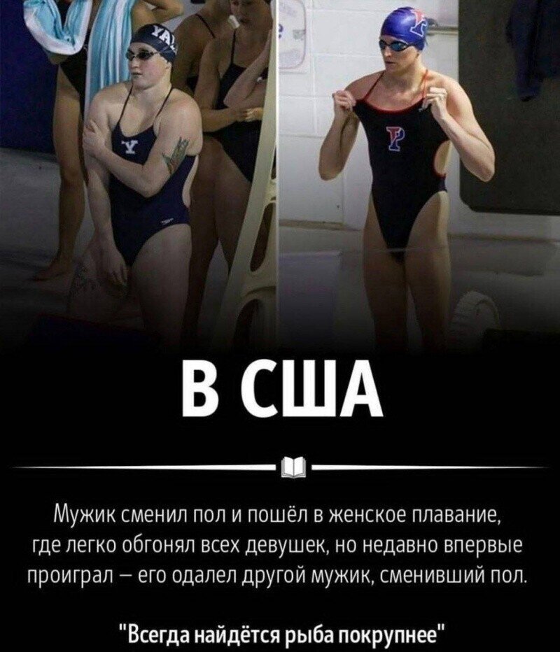 Всё вразнобой