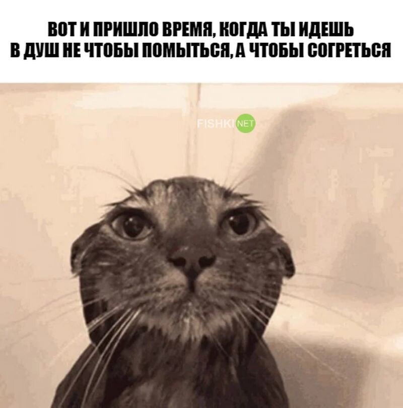 Субботний улыбальник