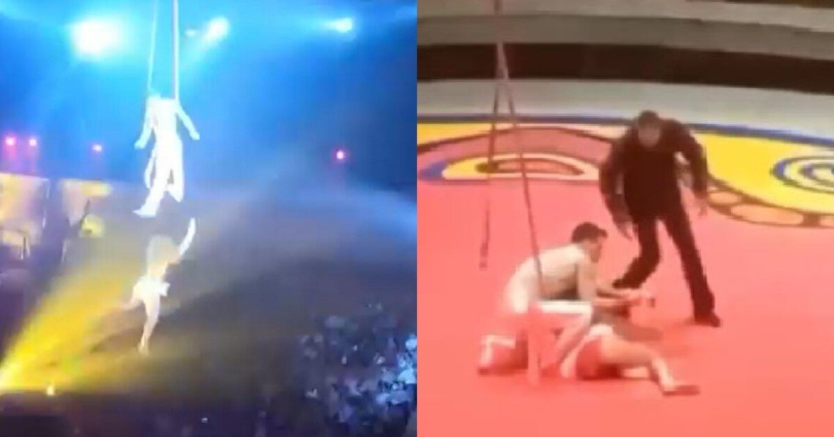 В цирке Омска гимнастка, выступавшая без страховки, рухнула с высоты