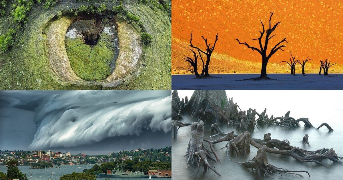 От «заблудших душ» из корней до облаков-цунами: удивительные оптические иллюзии, созданные природой