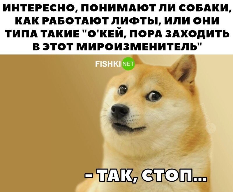 Так, стоп