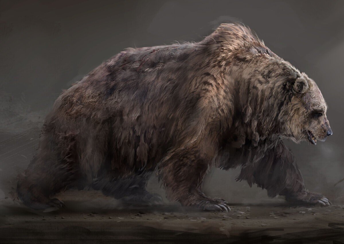Пещерный медведь: Гигант на 30% больше современных косолапых. Почему он так любил пещеры, и кто ему мог угрожать?