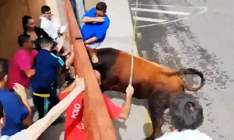 Праздник с быками в Испании снова окончился плачевно