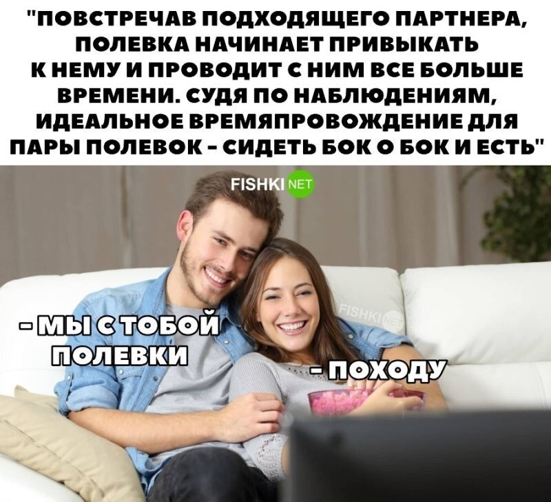Когда вы немного полёвки 