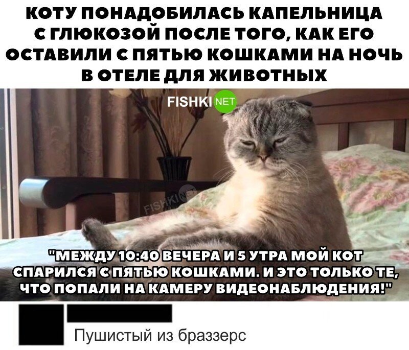 Смешные и познавательные картинки