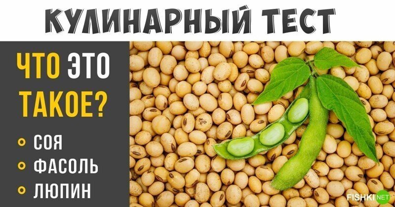 Кулинарный тест для тех, кто любит поесть