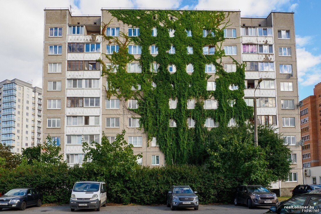 Минск, улица Макаёнка, сентябрь: