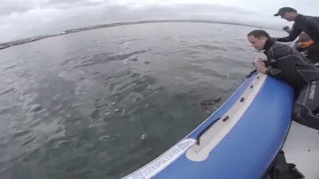 - Жубки чешутся