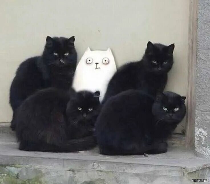 Дэвушька нэ танцуетъ