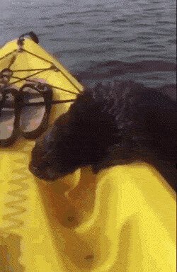 - Желтое - значит такси