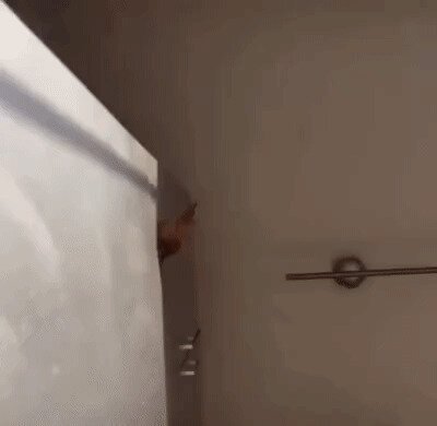 ....и накрыло рыжей ж......!