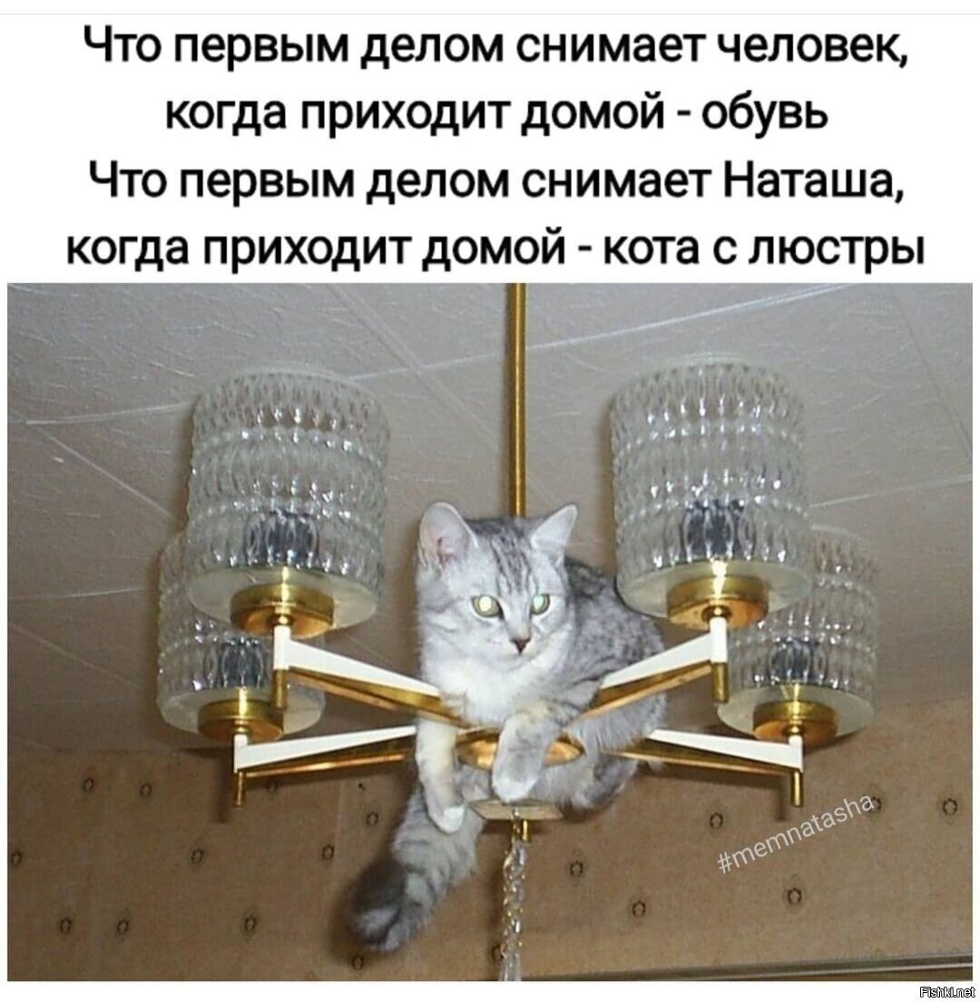 Доброе утро