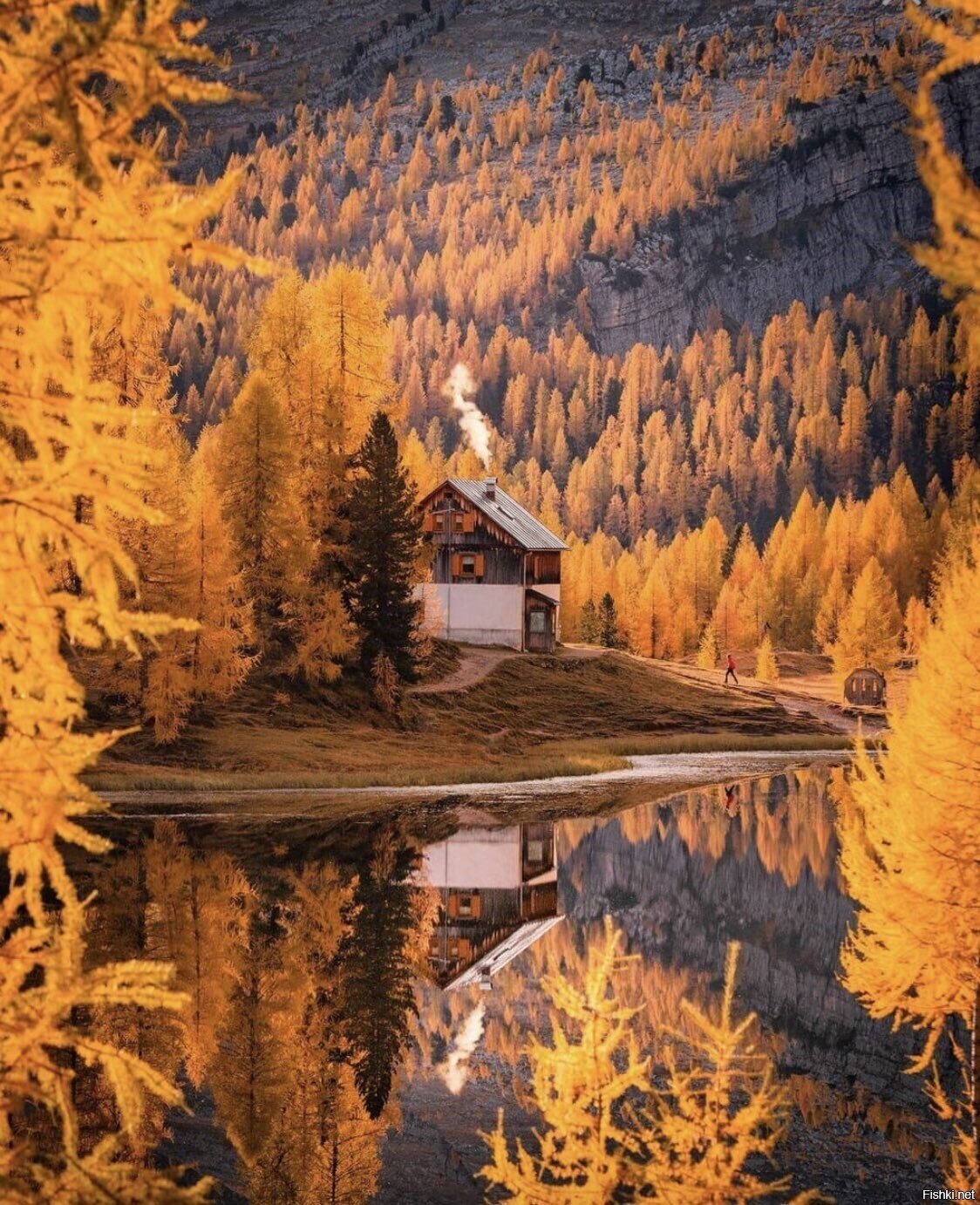 Солянка