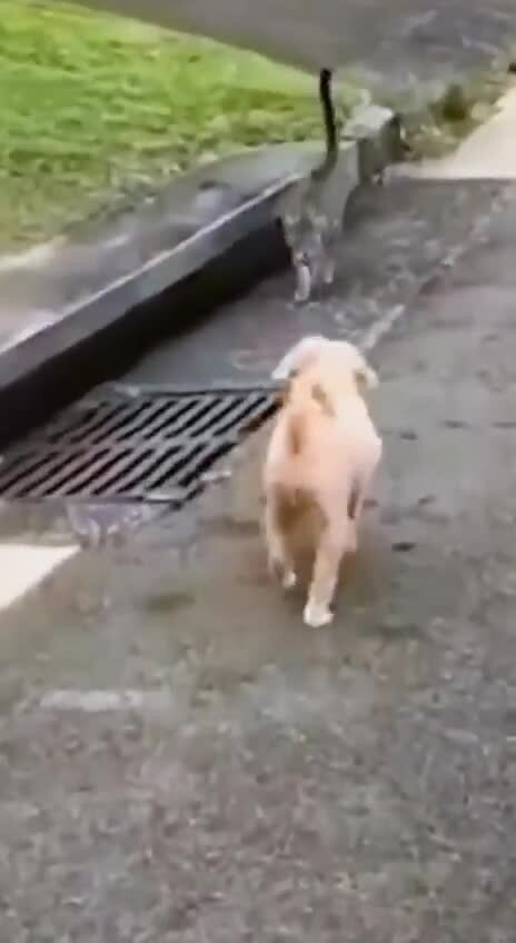 Слился