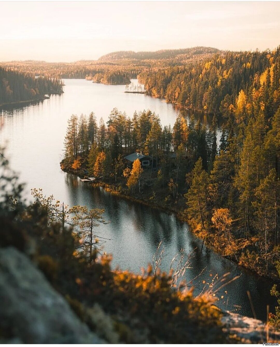 Солянка
