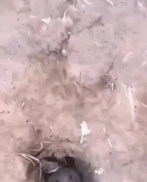Тихо жил, никому не мешал и тут пришли они