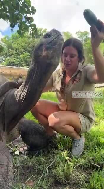 НЕ эротика