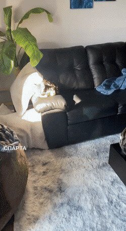 отдых отдыхом, а обед по расписанию