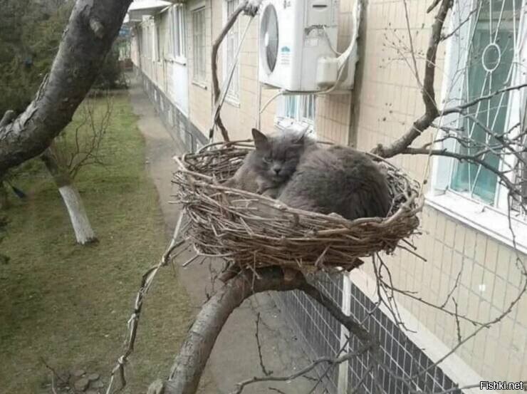 ну, пора и меру знать