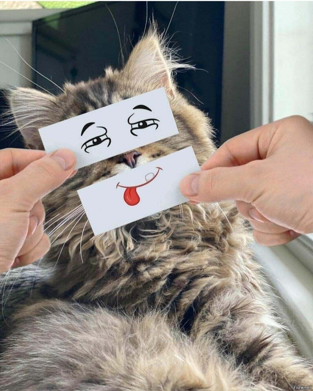 Доброе утро