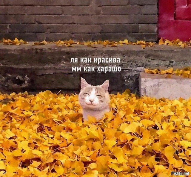 Пятница