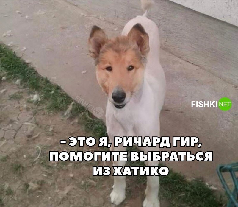 На общую тему