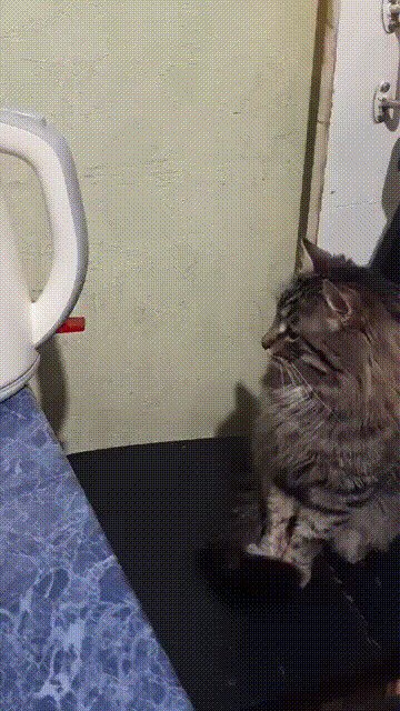 -воды налил