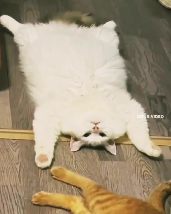 планы на выходные)