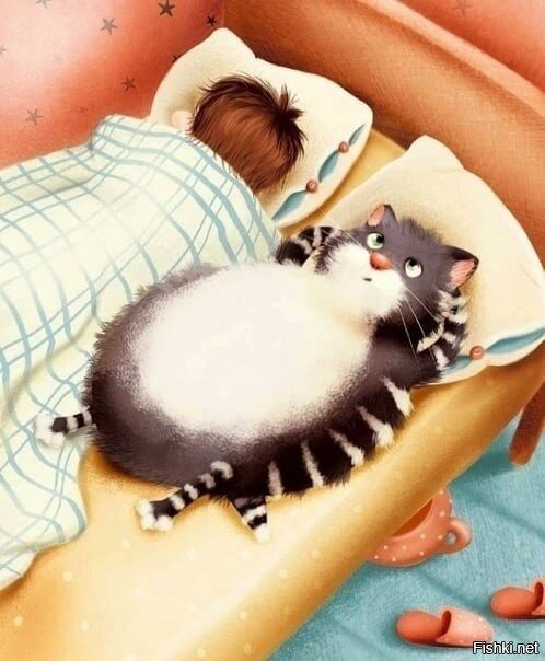 Солянка