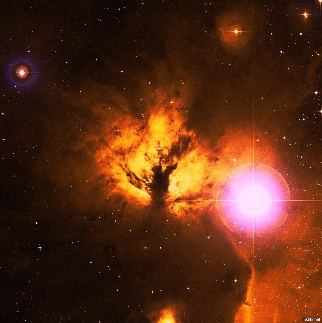 Эмиссионная туманность Пламя (NGC 2024)