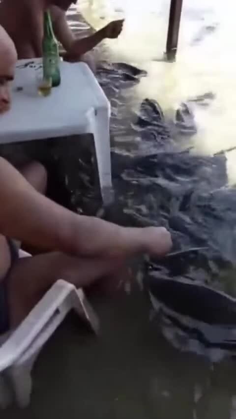Пиво с рыбой