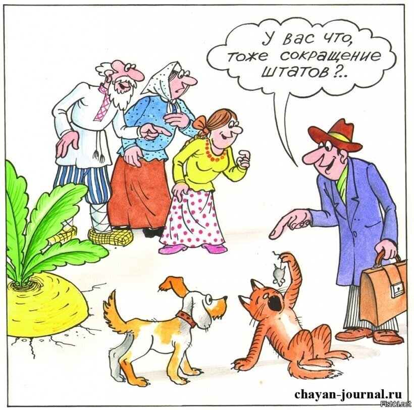 Солянка