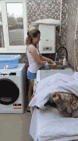 Ну подумаешь крышу снесло)