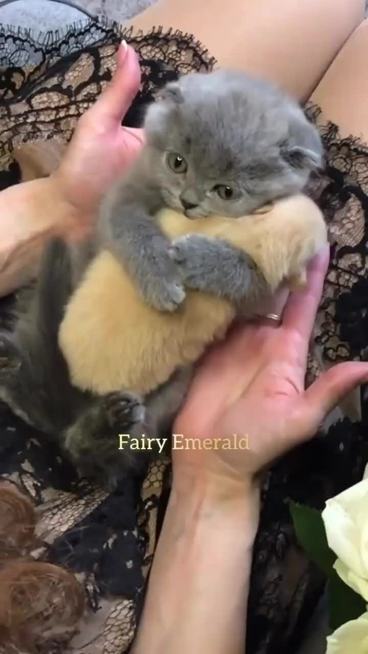 Начало дружбы 