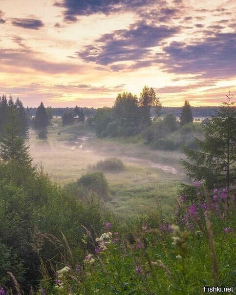 Солянка