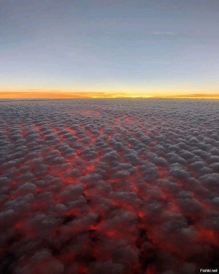 А в полёте пусто,выросла капуста