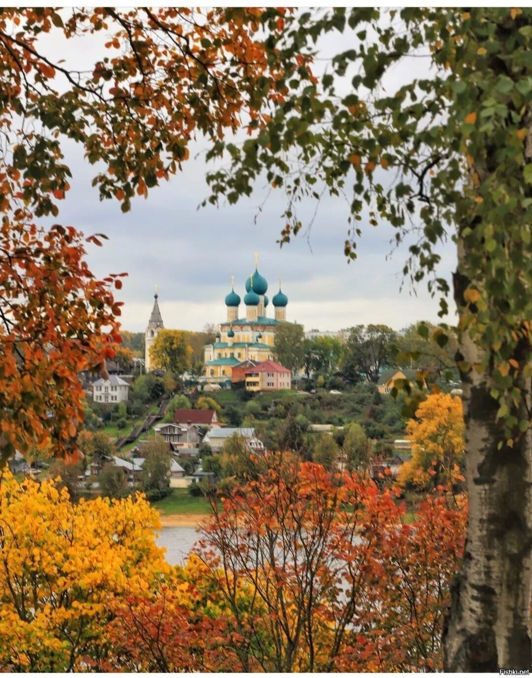 Солянка