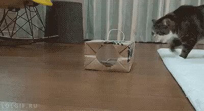 Идеально
