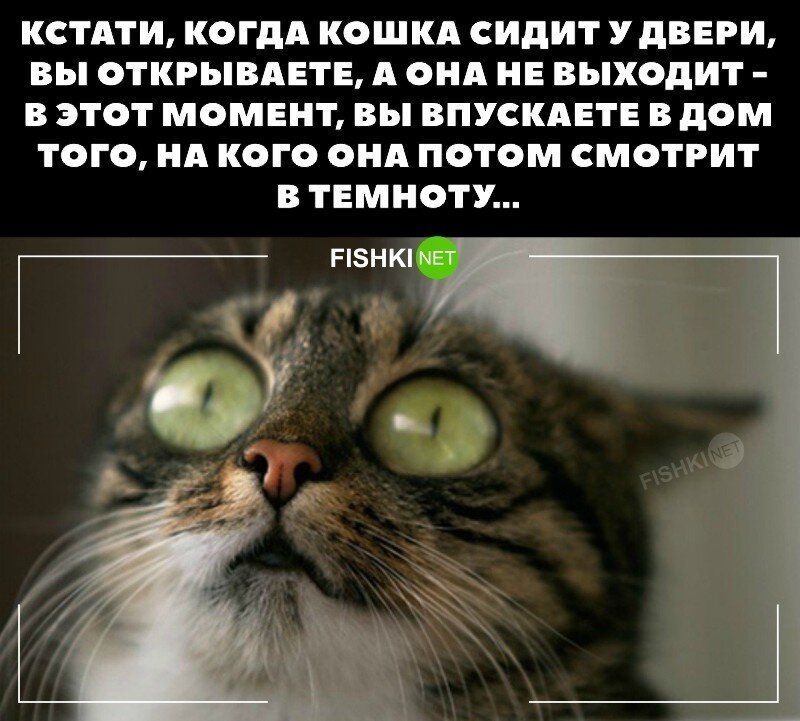 Вот оно что!