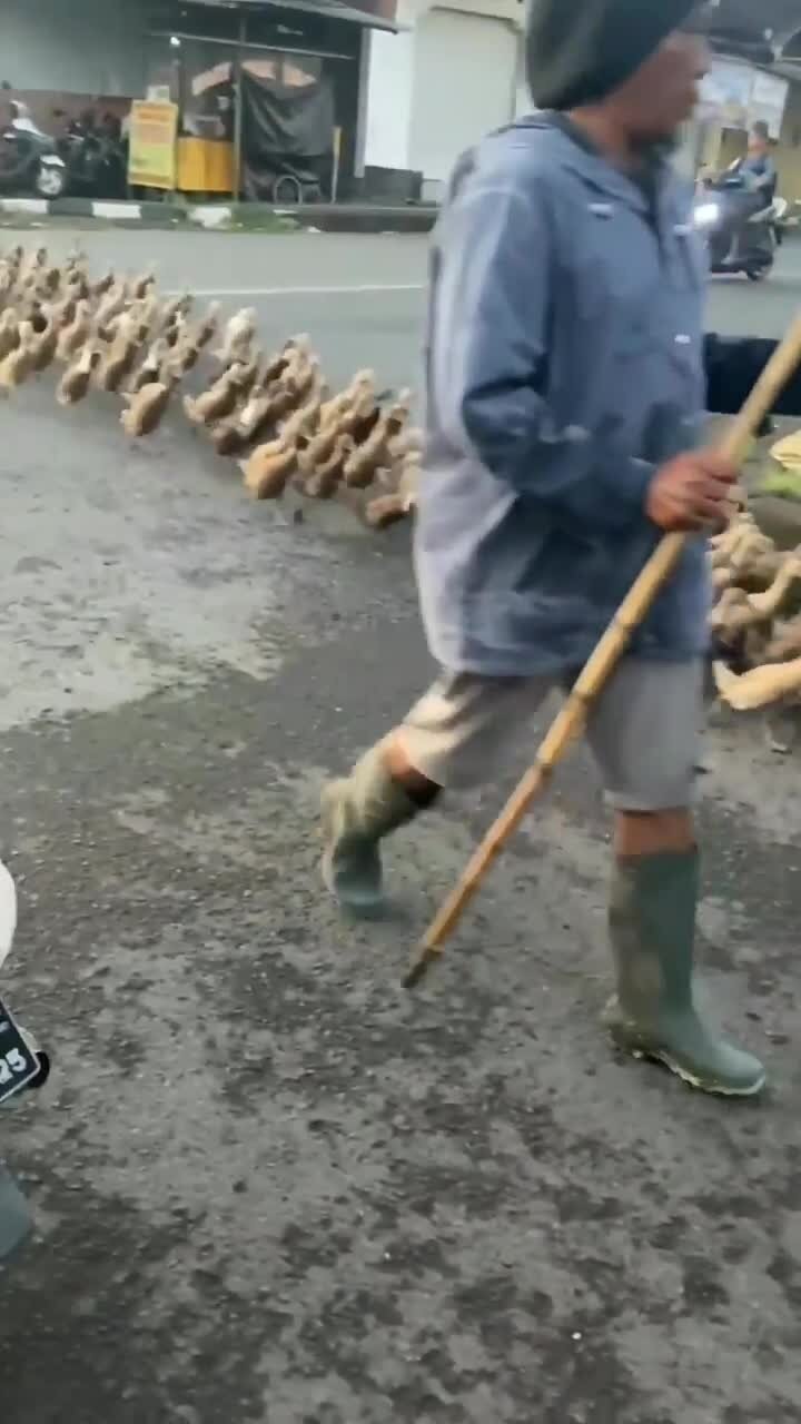 стройной толпой на водоём)