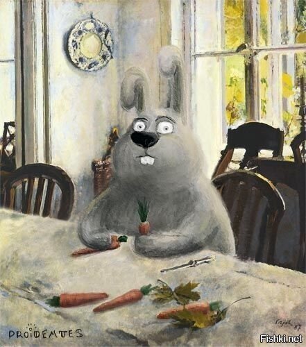 Солянка