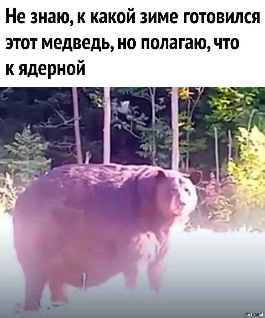 Мне кажется, он что-то знает