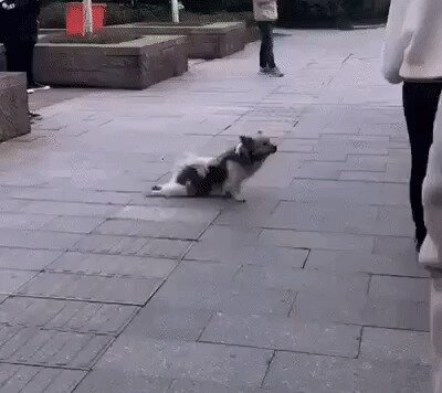 Артисто