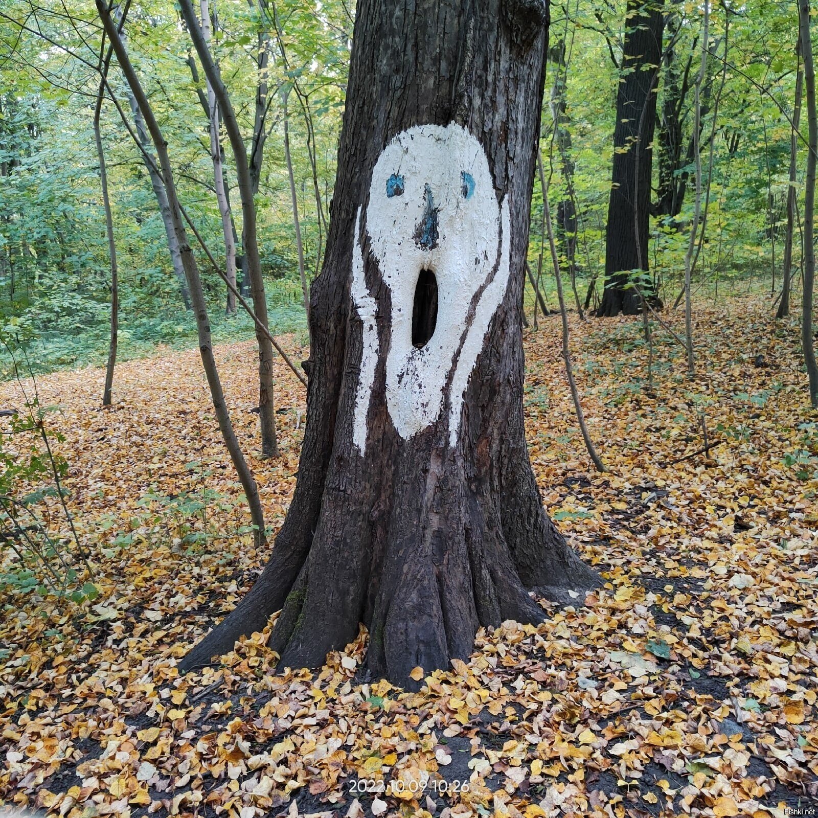 Солянка