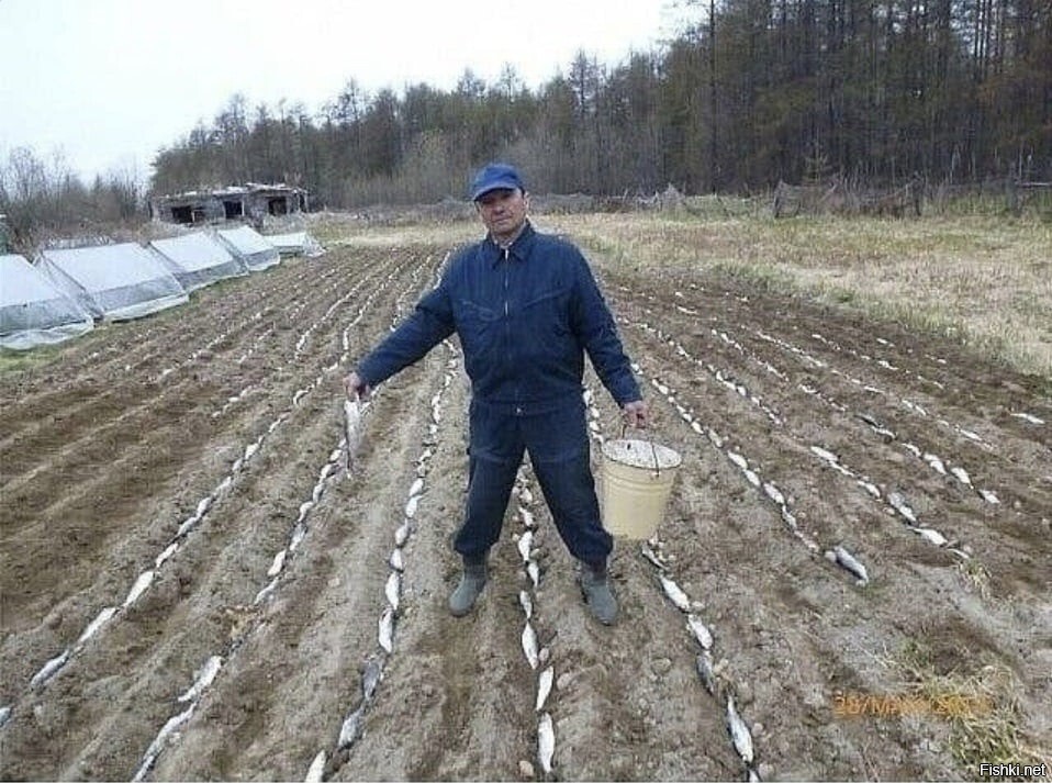 А чё, так можно было