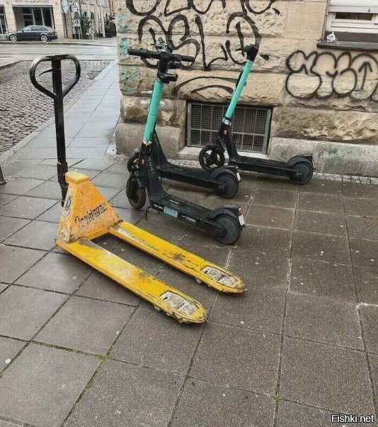 Свой среди чужих, чужой среди своих