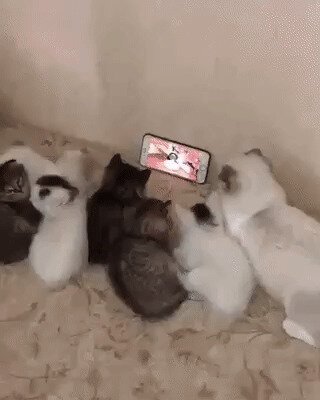 Мультики