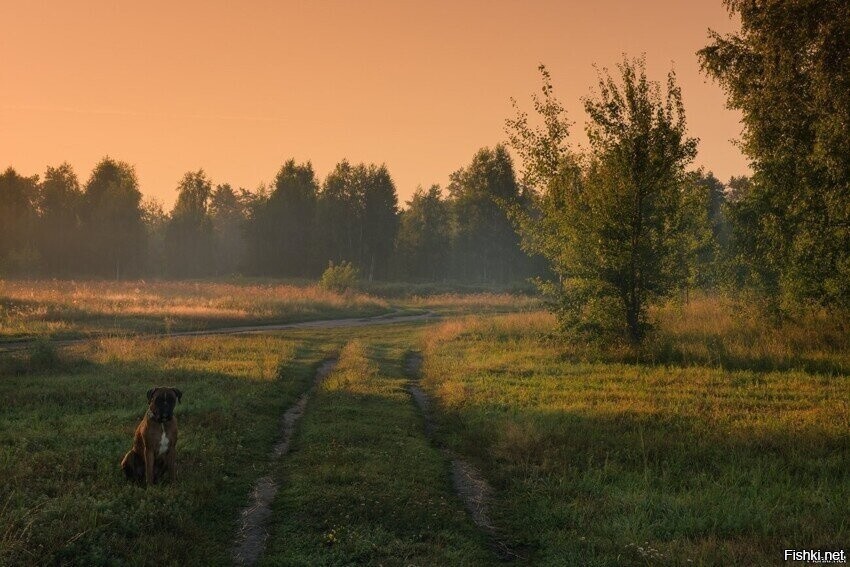 Солянка