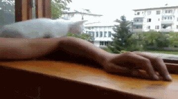 - Ты че