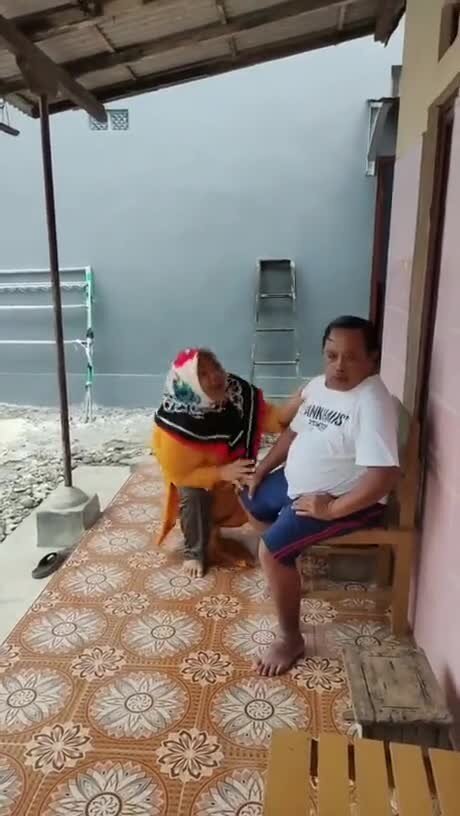 Солянка